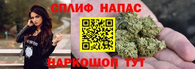 мяу мяу мука Гатчина
